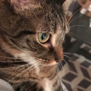 Meet your Posher, Holly